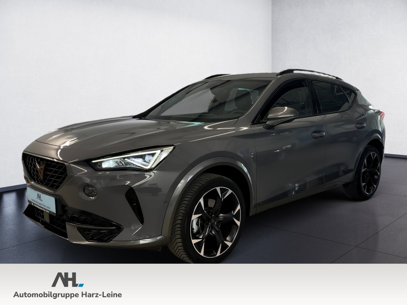 Formentor TSI DSG+ALU 19+AHK+NAVI+LED+RÜCKFAHRKAMERA+FULL LINK+KLIMA+PARK ASSIST